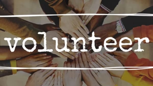 The life of a volunteer at Suzy Lamplugh Trust